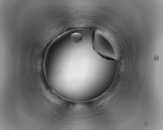 X0000094170546200710261111