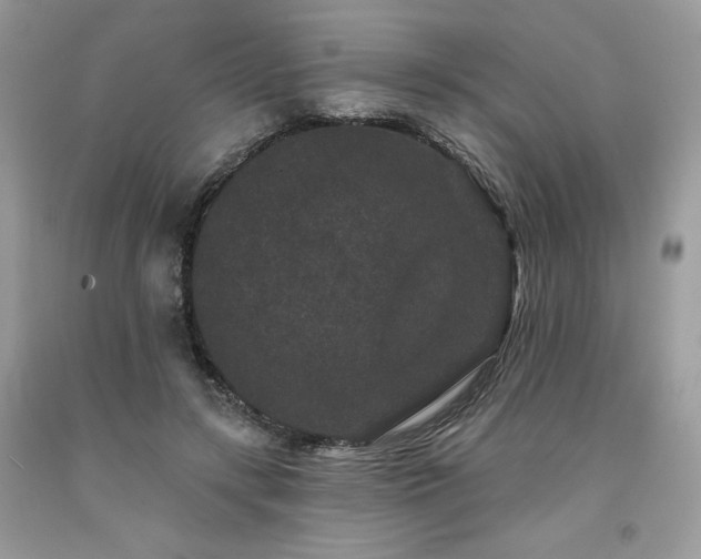 X0000094170547200710261111