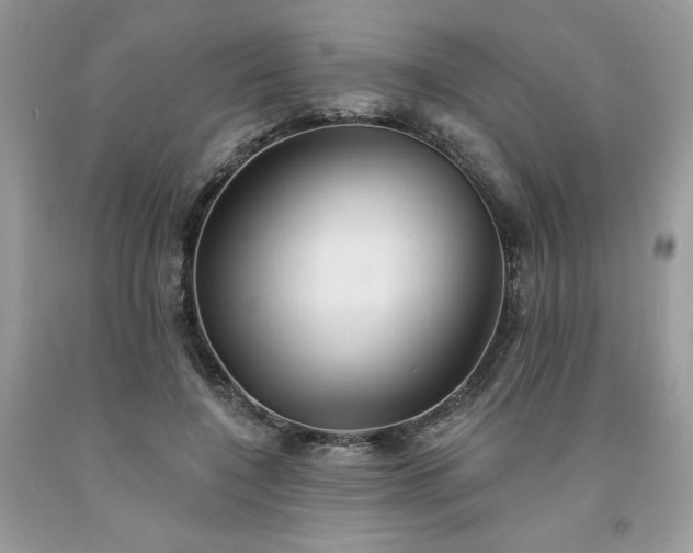 X0000094170548200710261111