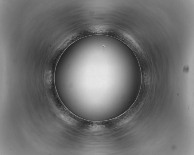 X0000094170549200710261111