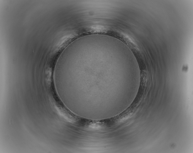 X0000094170550200710261111