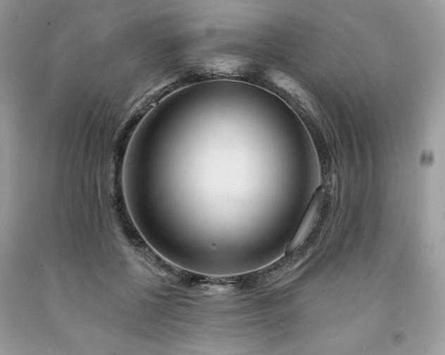 X0000094170552200710261111