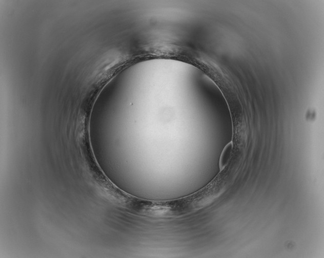 X0000094170554200710261111