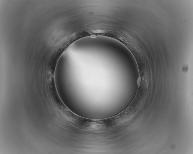 X0000094170555200710261111