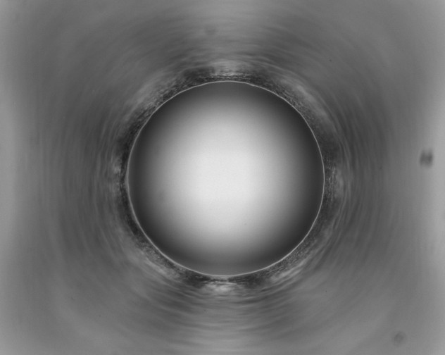X0000094170557200710261111