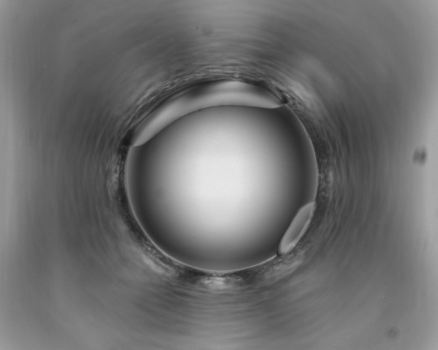 X0000094170558200710261111