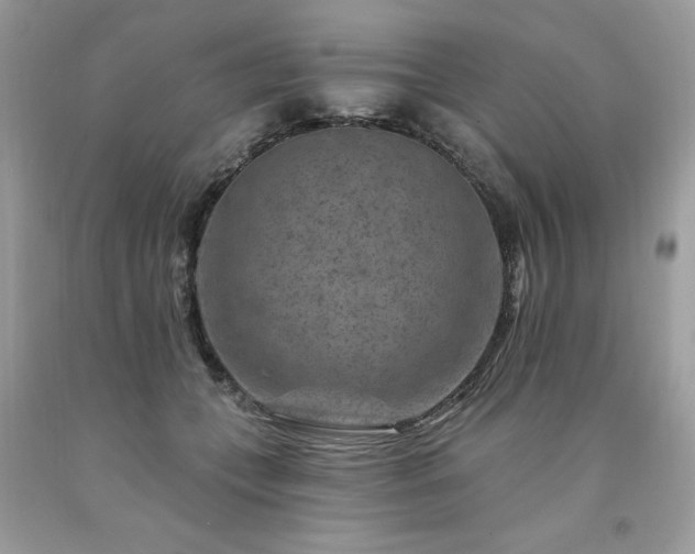 X0000094170559200710261111