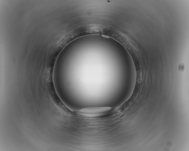 X0000094170560200710261111