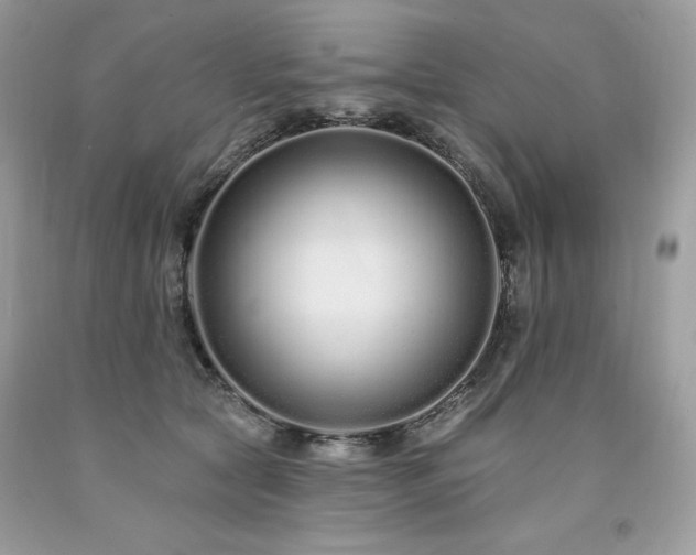 X0000094170561200710261111