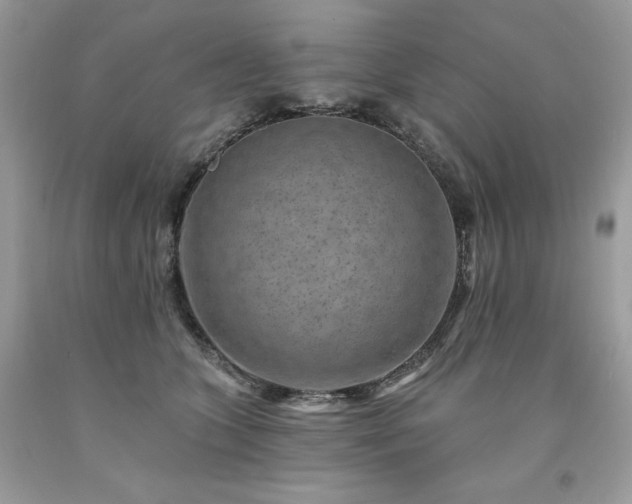 X0000094170563200710261111