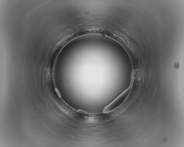 X0000094170564200710261111