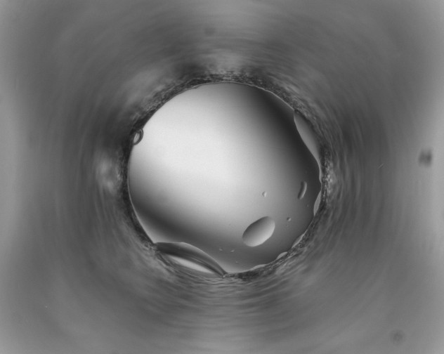 X0000094170566200710261111