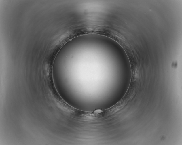 X0000094170567200710261111