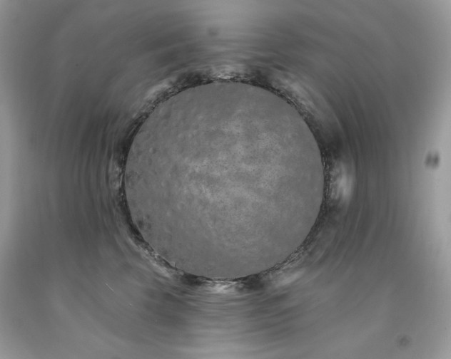 X0000094170569200710261111
