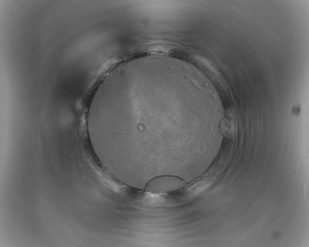 X0000094170573200710261112