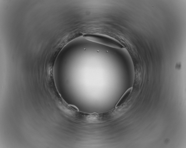 X0000094170574200710261112