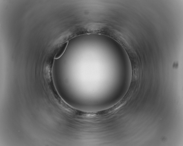 X0000094170575200710261112