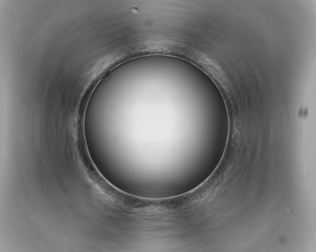 X0000094170578200710261111
