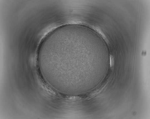 X0000094170579200710261111