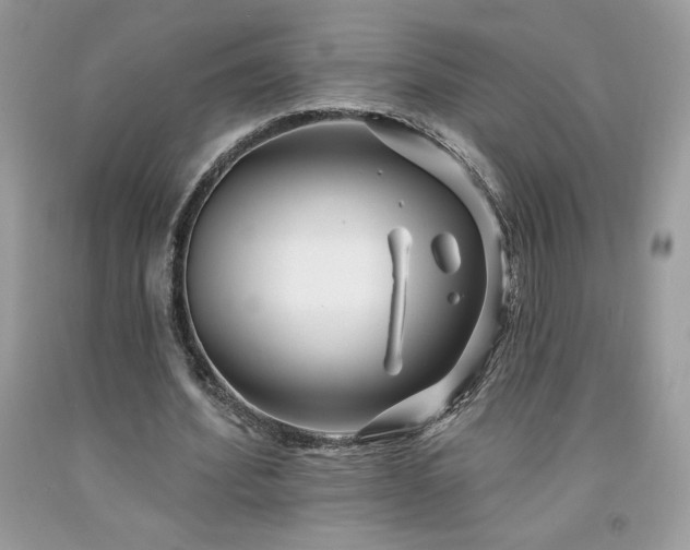 X0000094170580200710261111