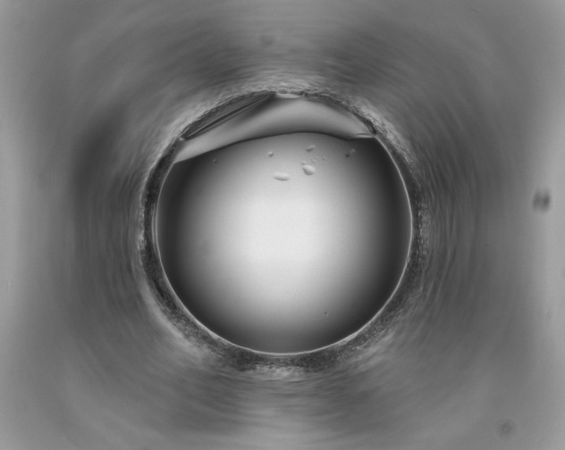 X0000094170582200710261111