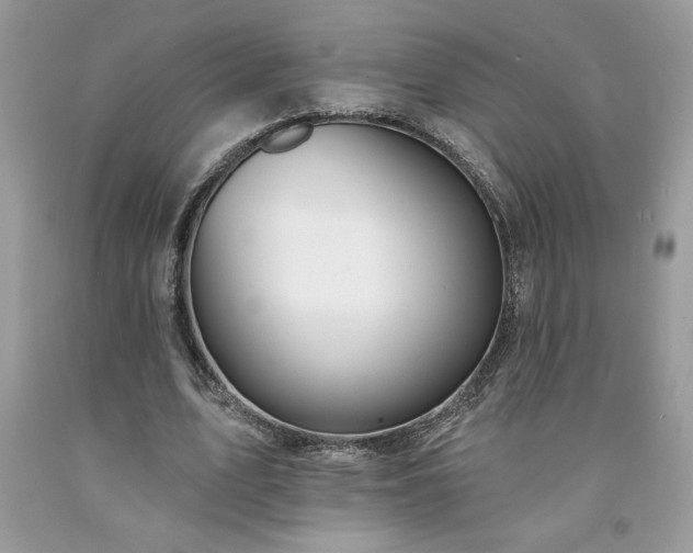 X0000094170583200710261111