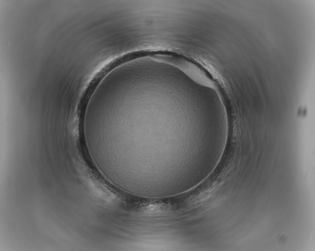 X0000094170584200710261111