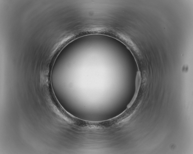 X0000094170585200710261111