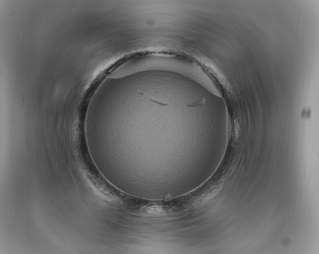 X0000094170588200710261111
