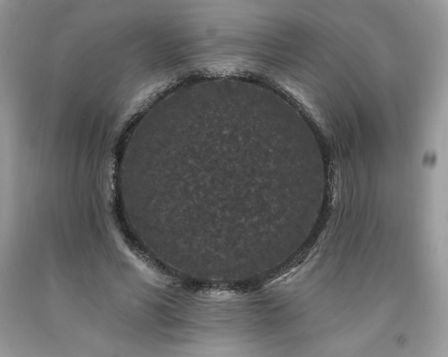X0000094170590200710261111