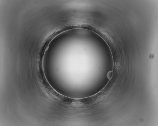 X0000094170591200710261111