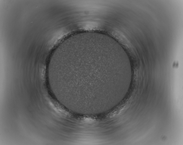 X0000094170592200710261111