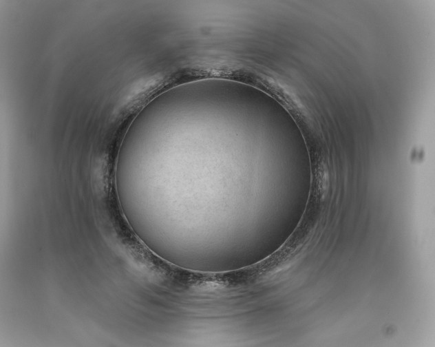 X0000094170594200710261111