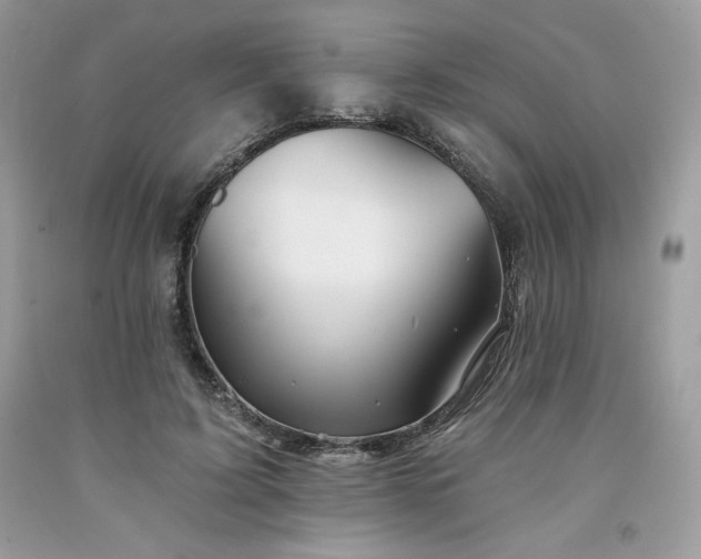X0000094170595200710261111