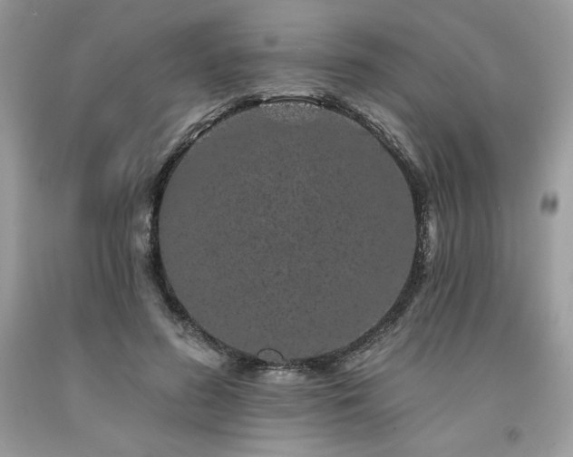 X0000094170596200710261111