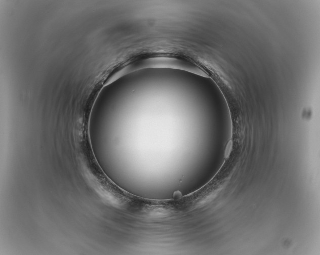 X0000094170597200710261111