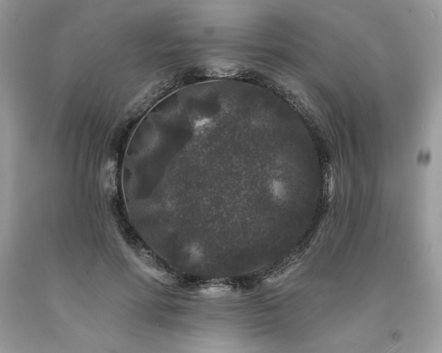 X0000094170598200710261111