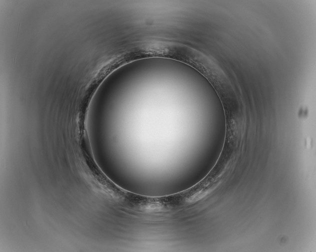 X0000094170600200710261110