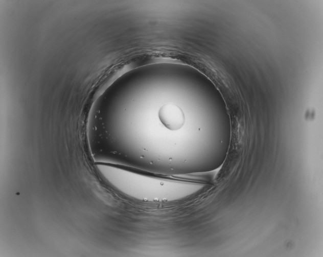 X0000094170601200710261110