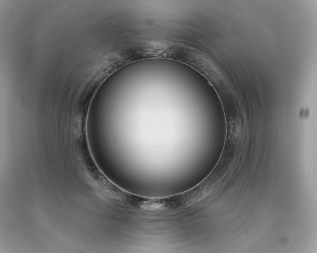 X0000094170602200710261110