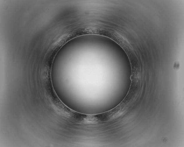 X0000094170603200710261110