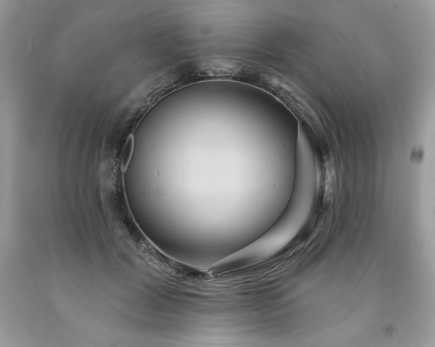 X0000094170604200710261110