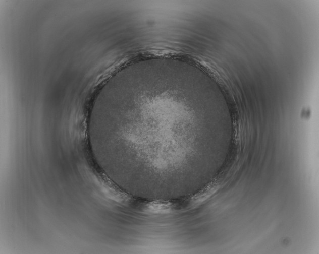 X0000094170606200710261110
