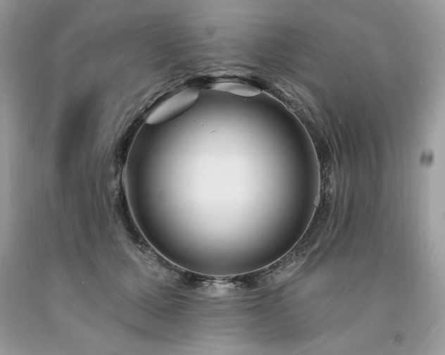 X0000094170607200710261110