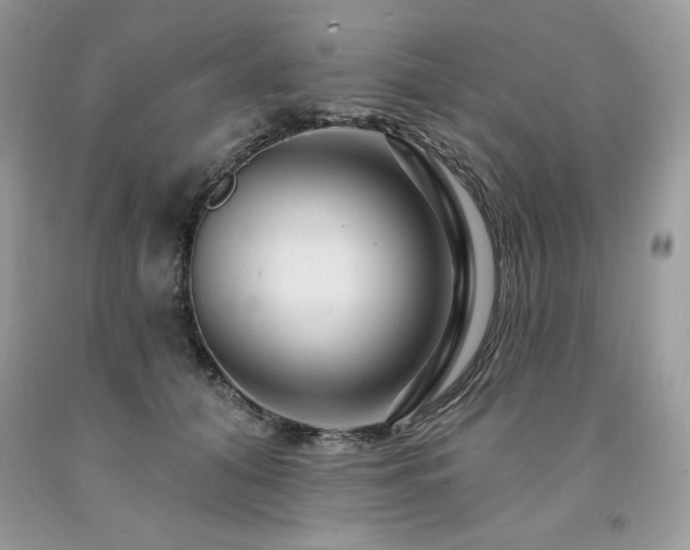 X0000094170608200710261110