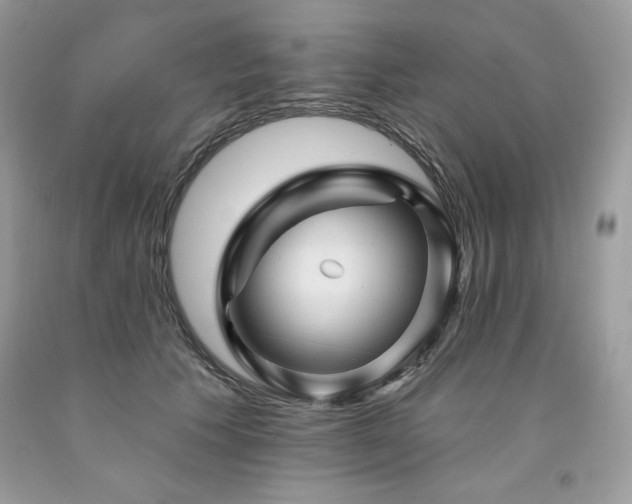 X0000094170609200710261110