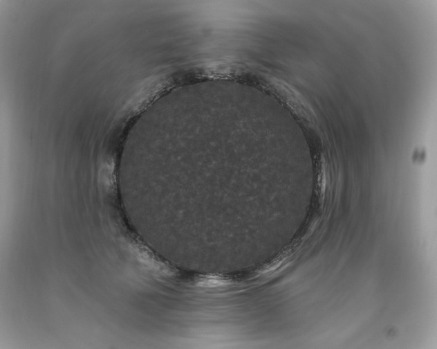 X0000094170610200710261110