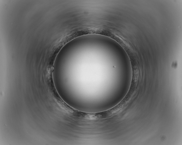 X0000094170613200710261110