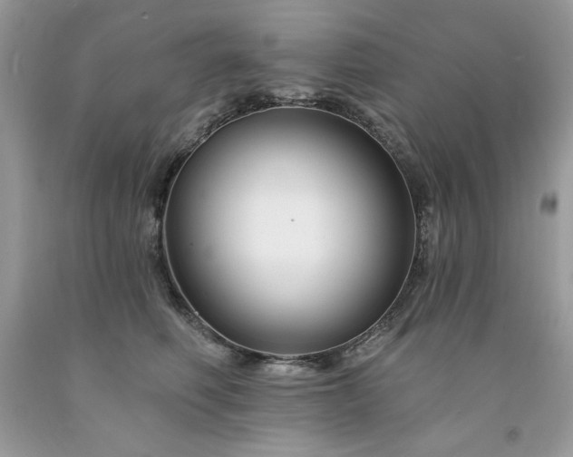 X0000094170614200710261110