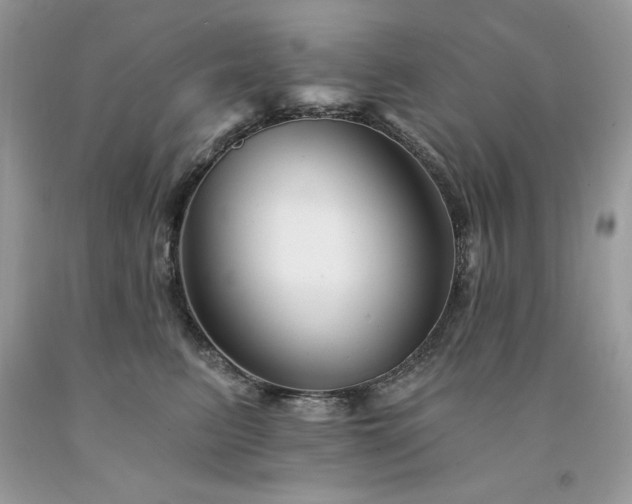 X0000094170615200710261110